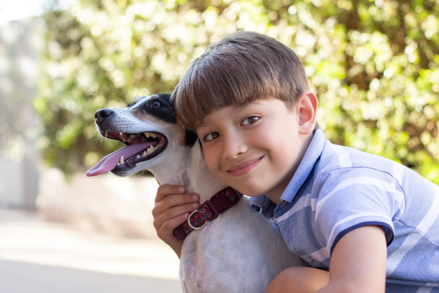 la importancia de los animales en los niños con autismo